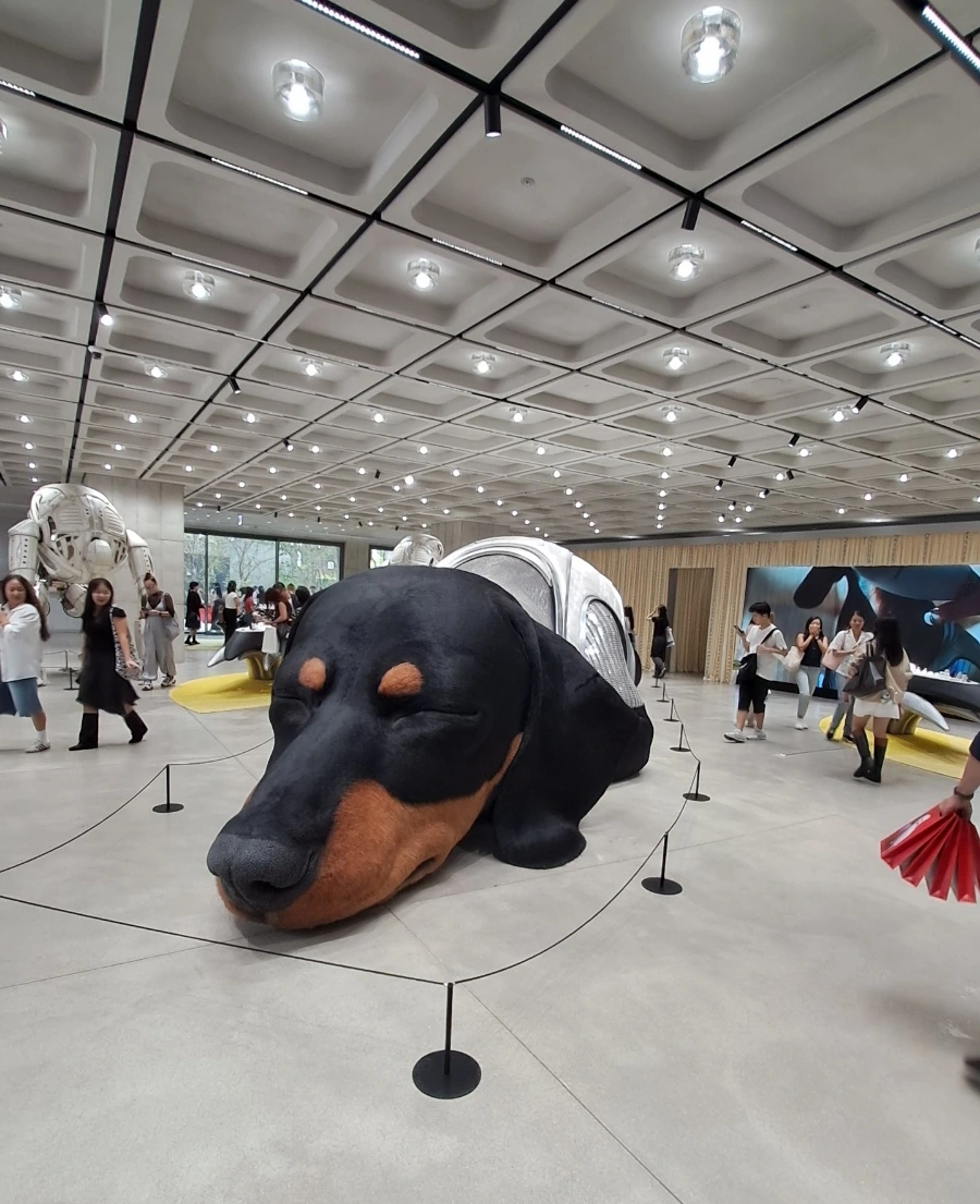 900%EF%BC%BF1758545957044.jpg?type=w1