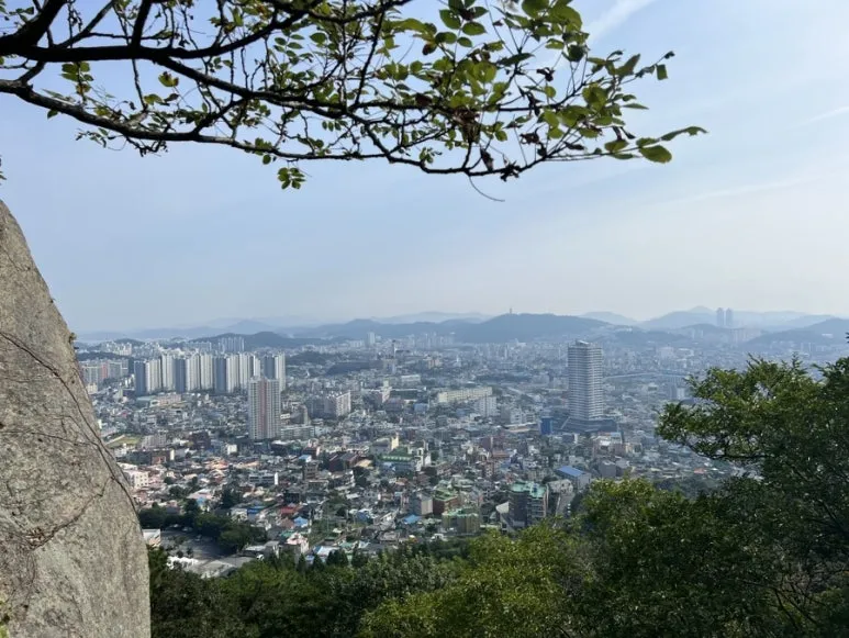 IMG_1175.JPG?type=w773