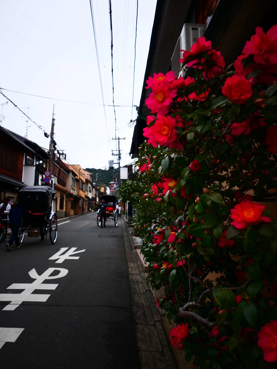 IMG_5373.JPG?type=w3840