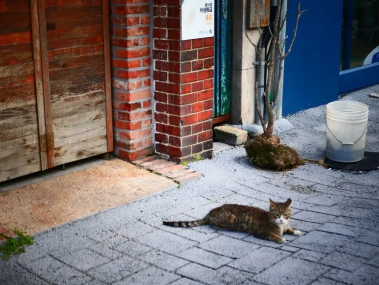 IMG_1086.JPG?type=w773