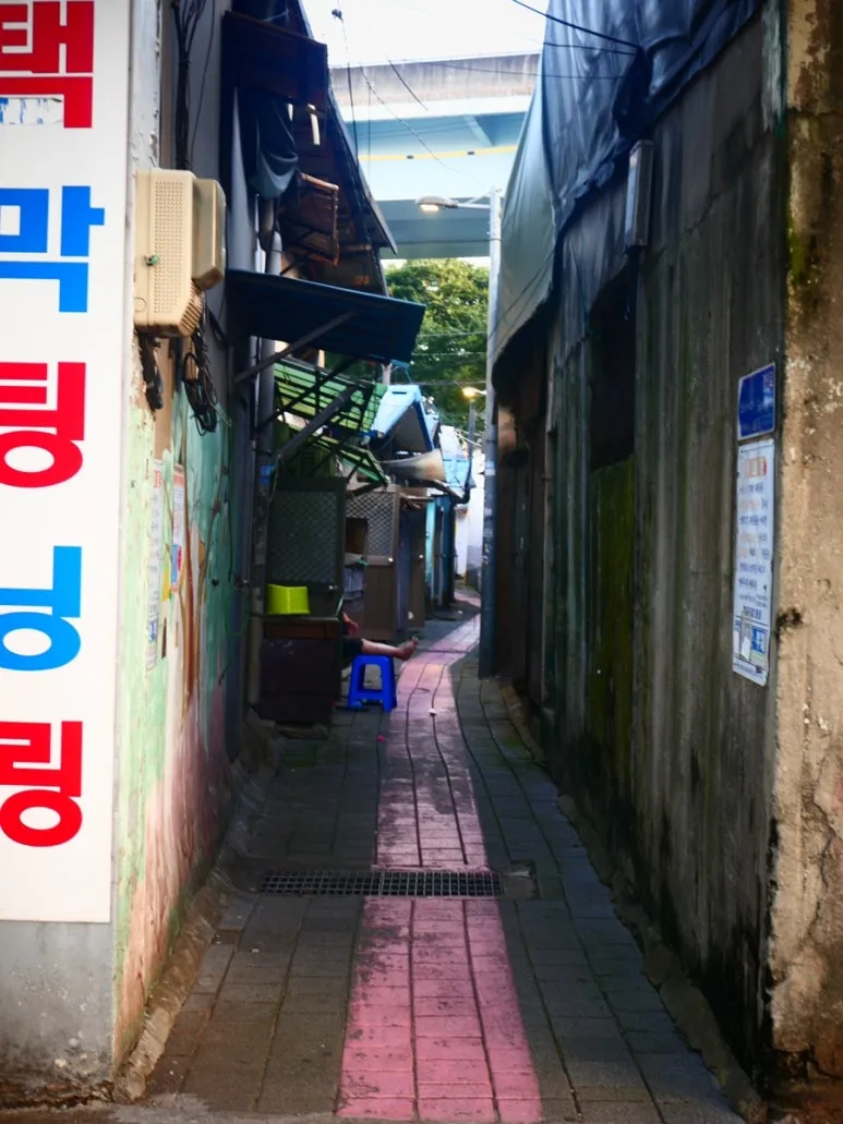 IMG_1701.JPG?type=w773