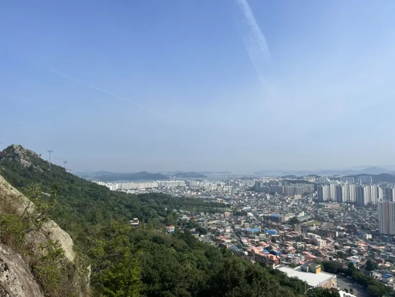 IMG_1176.JPG?type=w773