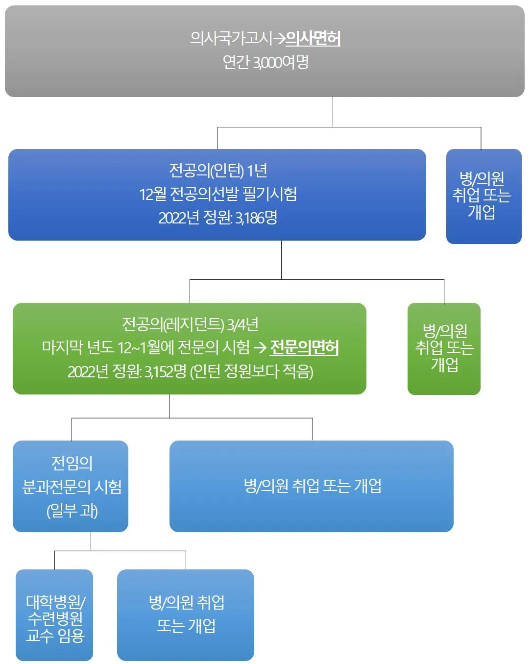 배뚱뚱이 설명자료_2.JPG