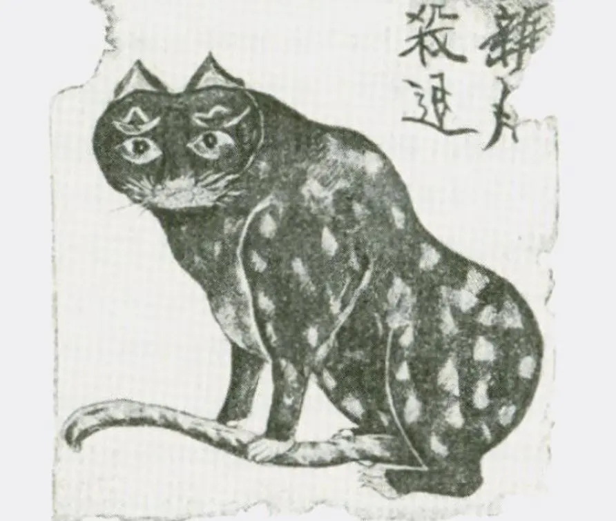고양이 부적_프랑스 탐험가 샤를 바라의 책, 조선기행에 실린 고양이 부적.JPG