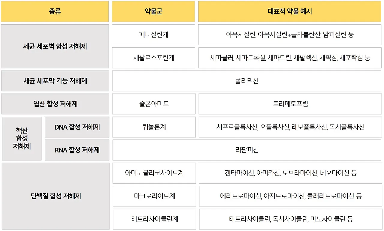 대표 항셍제 종류.JPG