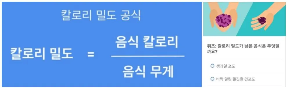 칼로리밀도.JPG