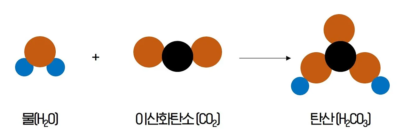 탄산분자식.JPG