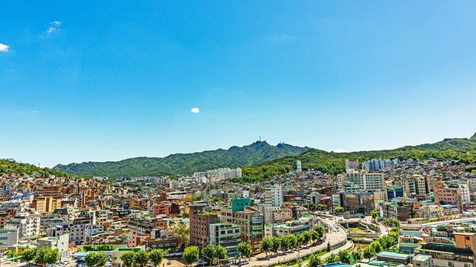 119557954_247210843218802_6471173820965820089_n.jpg?type=w1