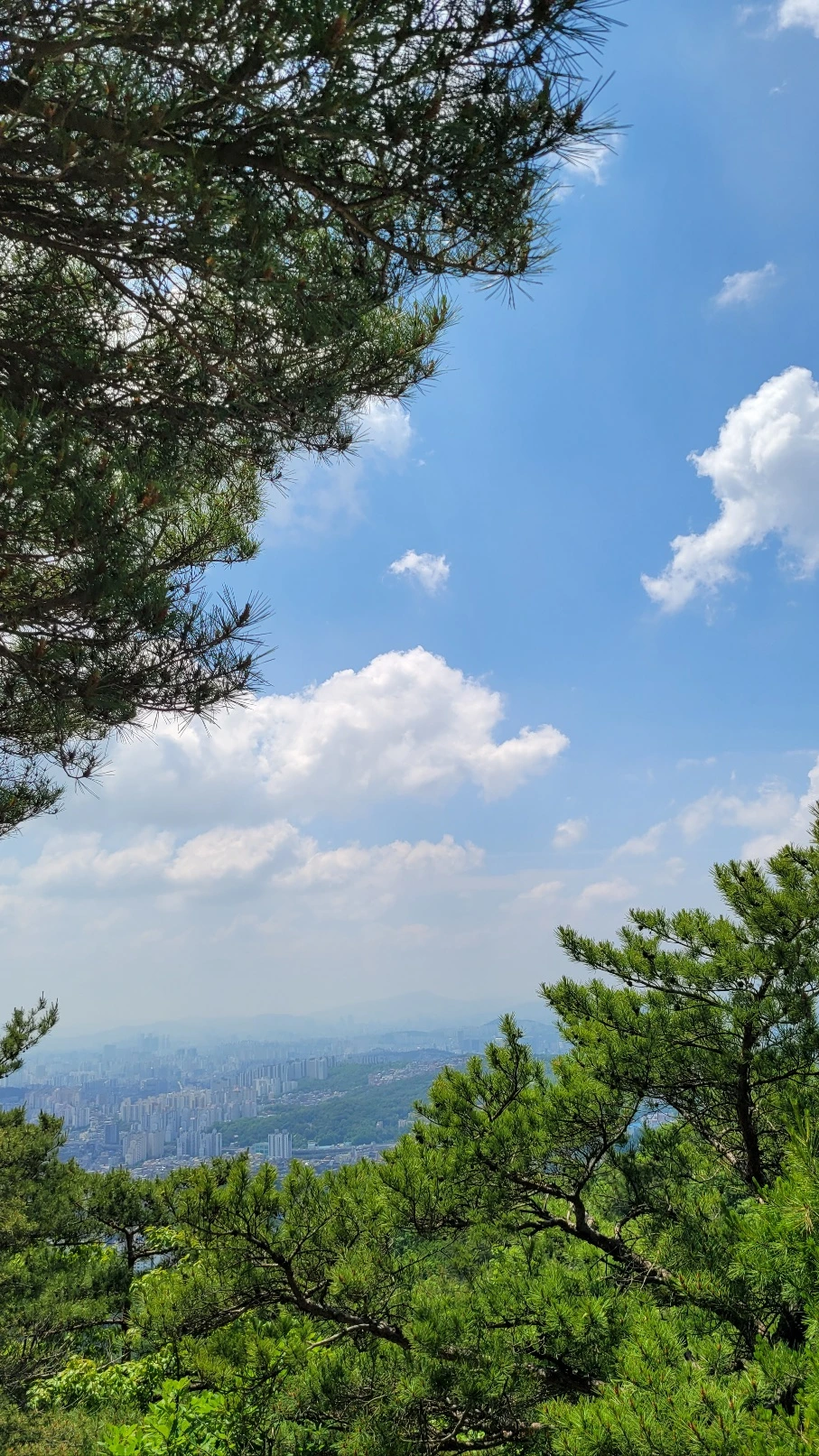 KakaoTalk_20240601_162843048.jpg?type=w1