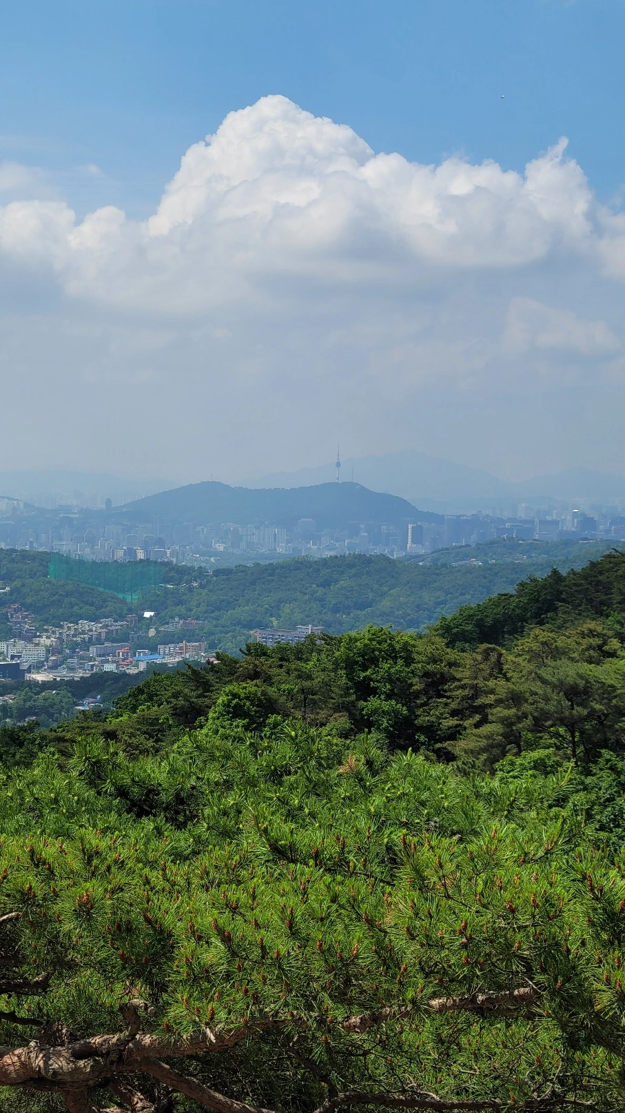 KakaoTalk_20240601_162843048_02.jpg?type=w1