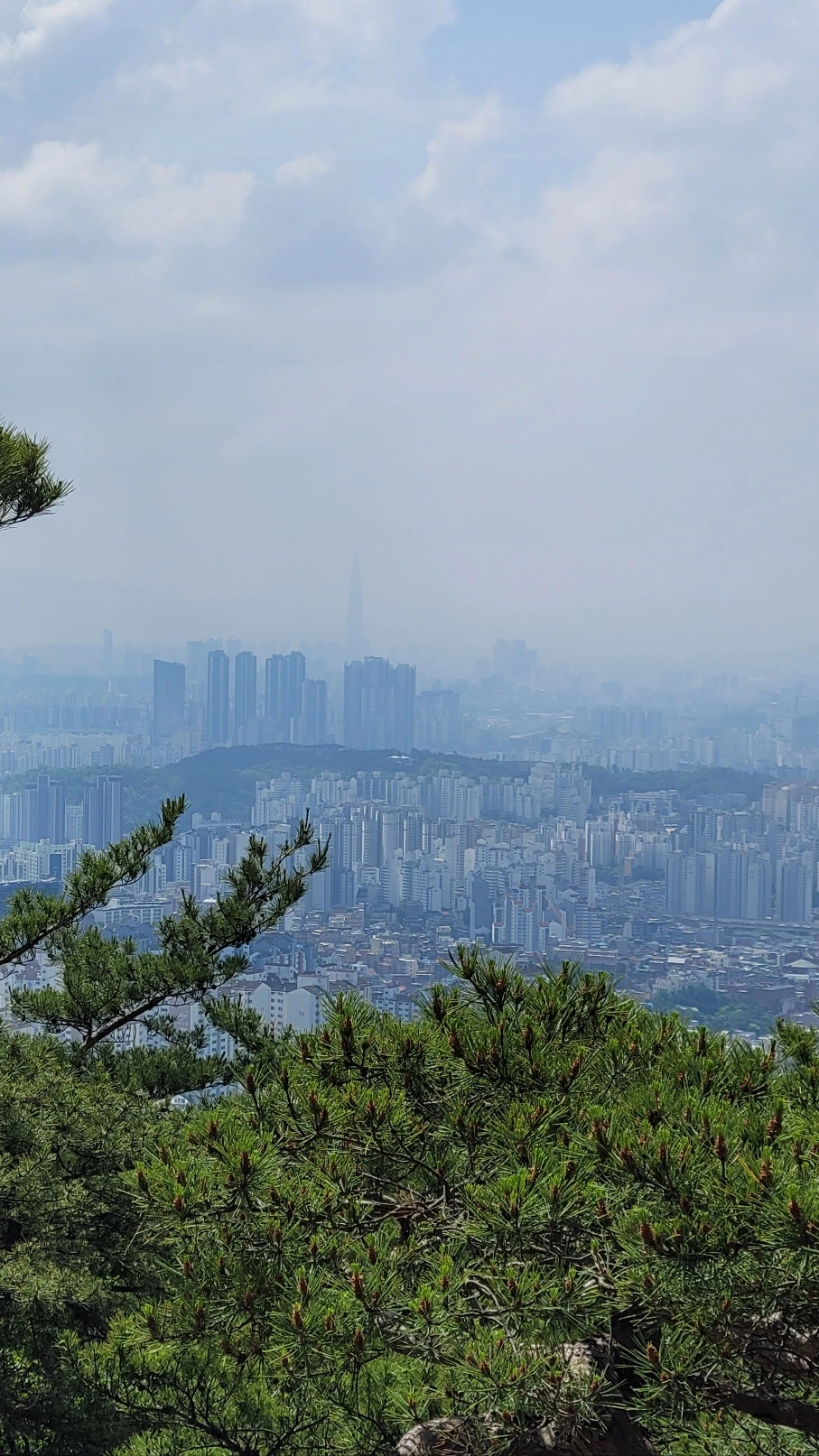 KakaoTalk_20240601_162843048_01.jpg?type=w1