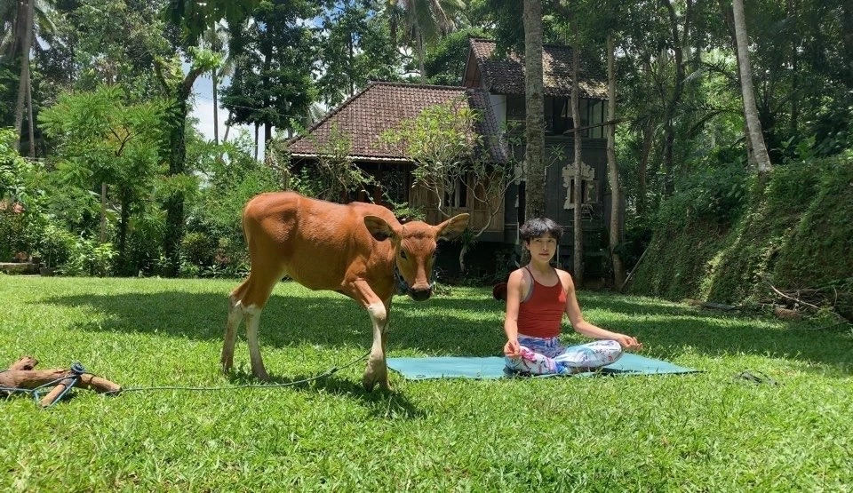 0. 대표이미지.jpeg