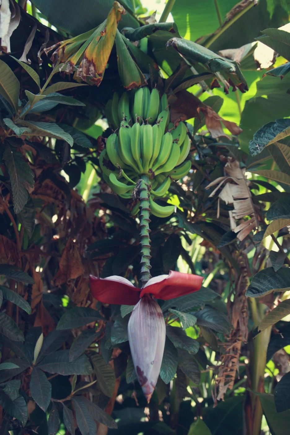 IMG_3102.jpg?type=w1