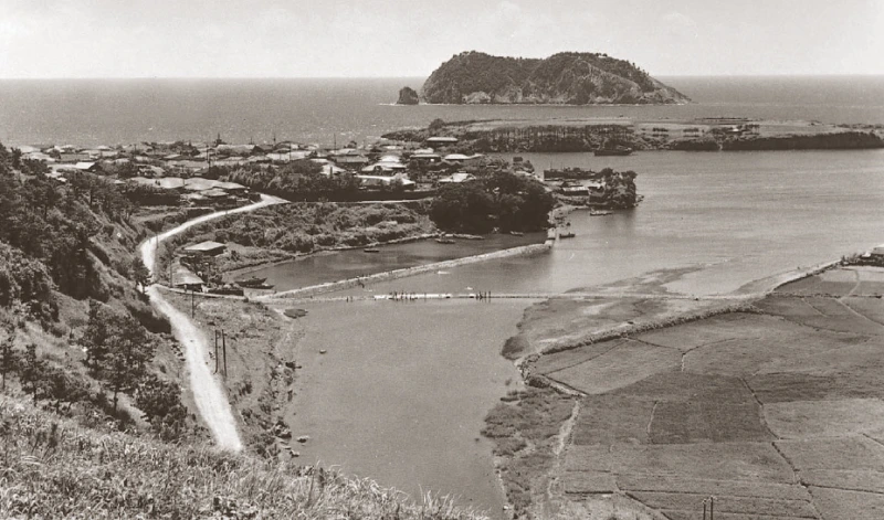 1950%EB%85%84%EB%8C%80%EC%9D%98_%EC%84%9C%EA%B7%80%ED%8F%AC%ED%95%AD.png?type=w1