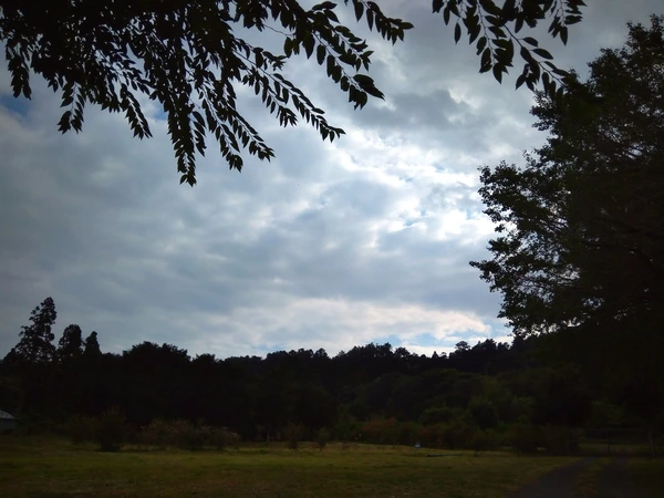 SE-6d7e9ad4-33c8-4371-8804-cfb1dbaba495.jpg?type=w966