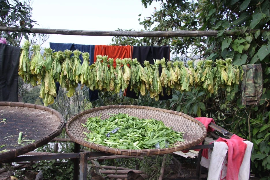 13._%EB%B0%B0%EC%B6%94_%EC%8B%9C%EB%9E%98%EA%B8%B0%EB%A5%BC_%EB%A7%8C%EB%93%9C%EB%8A%94_%EC%B0%A8%EB%86%8D%EA%B0%80.JPG?type=w1