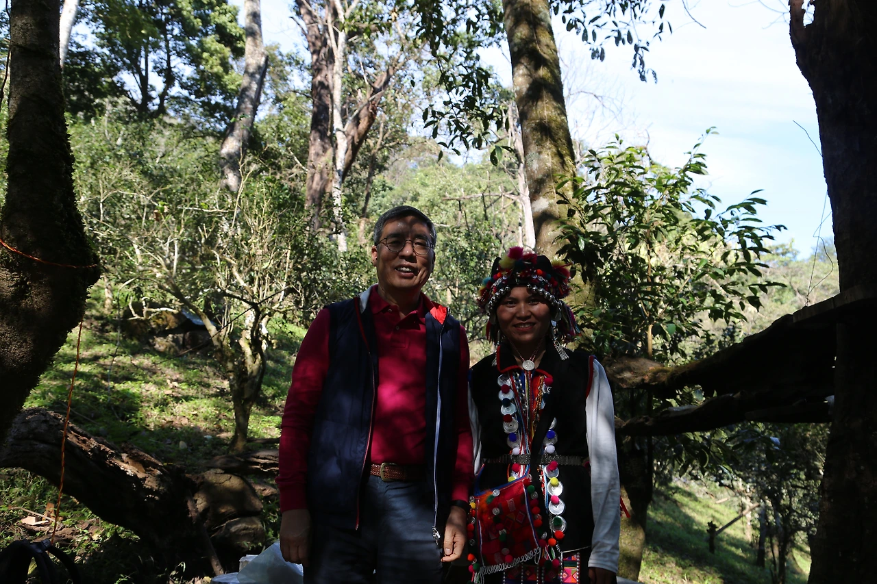 7. 남노산에 살고 있는 차를 따는 합니족 여성.JPG