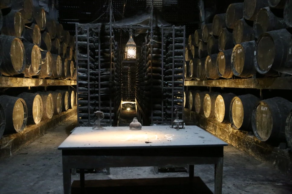 3O5A4624.JPG?type=w966