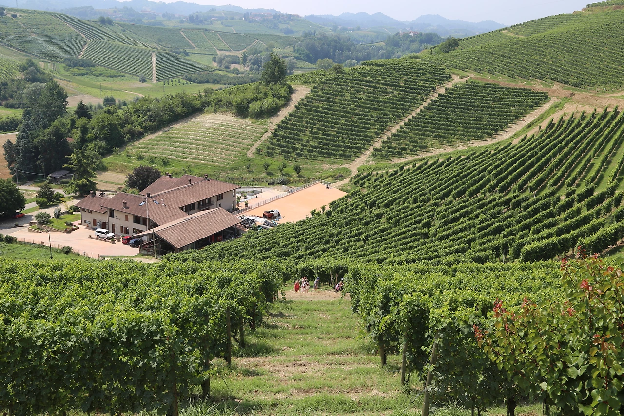 이탈리아 피에몬트 랑게지역의 말비라 와이너리.JPG