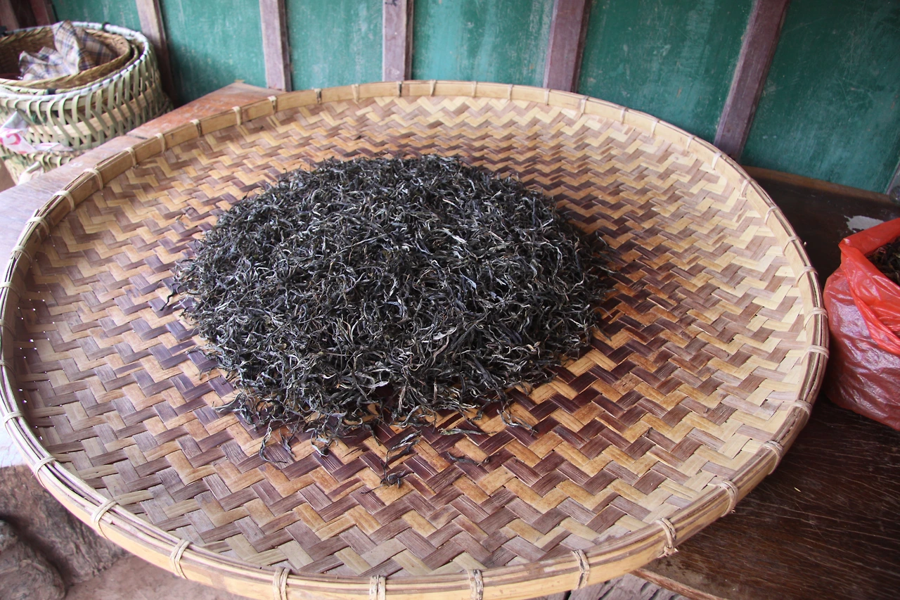 만송 마을의 쇄청모차 2013년 추차.JPG