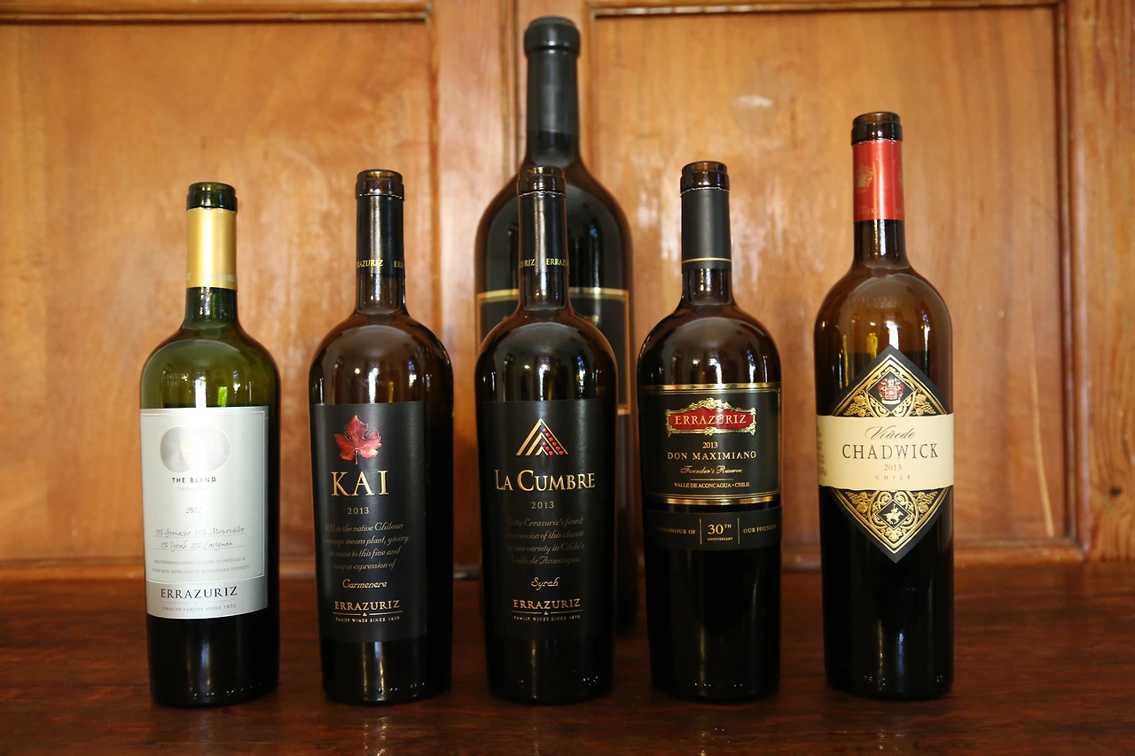 7. 칠레 아콩카쿠아의 비냐 에라주리스 와인들.JPG