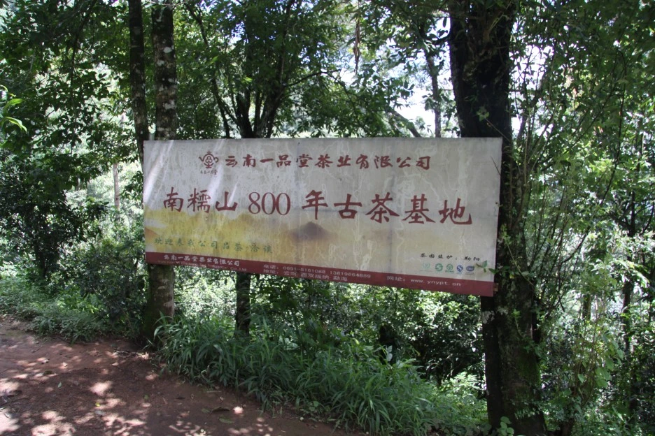 4._%EB%82%A8%EB%85%B8%EC%82%B0_%EC%88%98%EB%A0%B9_800%EB%85%84_%EC%B0%A8%EB%82%98%EB%AC%B4_%EB%B0%AD.JPG?type=w1