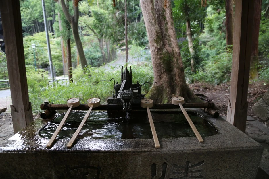 3O5A1388.JPG?type=w1