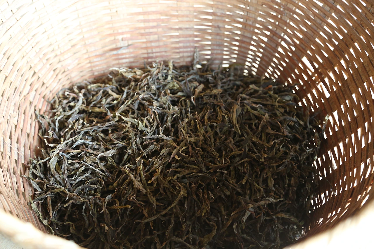 2017년 춘차 노반장 쇄청 모차.JPG