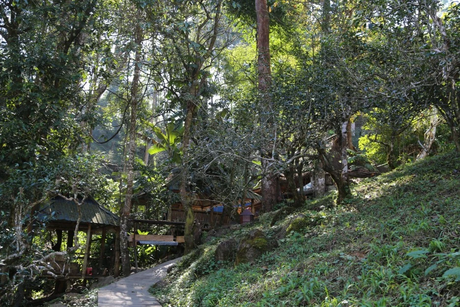 8-2._2019%EB%85%84_%EC%83%88%EB%A1%AD%EA%B2%8C_%EA%B1%B4%EC%B6%95%ED%95%9C_%EC%B0%A8%EC%99%95%EC%88%98_%EC%98%86%EC%9D%98_%EB%8B%A4%EC%8B%A4.JPG?type=w1