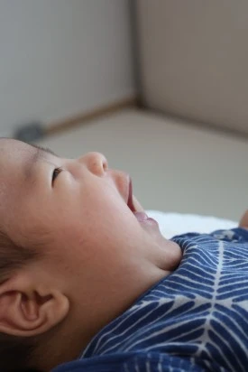 output_2651256684.jpg?type=w275