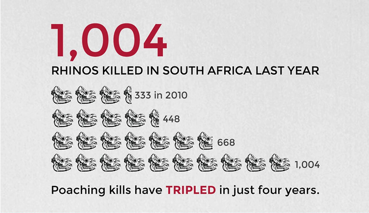 -ffRsaO5lFmenHIvHpErk11LslLGrMCouTj5Q6tiDpDPLyTld7wpNOhpfLmdf_GAICHaTtYkT28s_pRltMsn-0zjtYBF_CLWbAhXoBsHIreyd102x-Dqs4IT9KDtGSzJgRWf2Ro