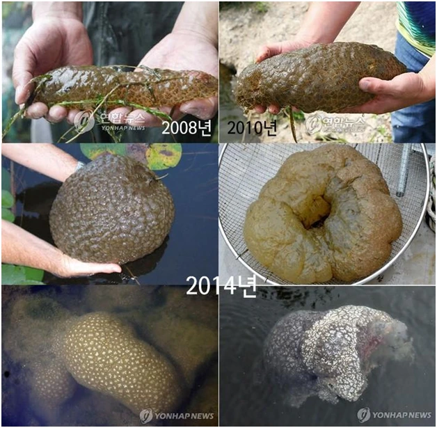 IOVEujd_RsHB9UjdHj45VwbkiItFcheYQAPh1ITtYJsU4nMr1_BrPKVLdjjjY6Nsj_eqvJvA2KkRNAAiUaZgHo-hmDsL2O8tLoGUanpZHxLBtt2Xp81hF2eyXS2bkJbdRVEndjQ