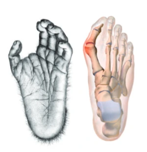 AD_4nXdTHtJFr08CW09bnuczfRIGc5cpdsKPsGZU4pRLsofrAwvaKTSeTnzZPZk3u8TQaW1gVvVaID11Jfa8l60-15YaRYfWnf47_7pWyJoYueyd6APZphoJPStkehZ8AKW6pWrYint54w?key=AhLvapB3KLbFMHGKEOaM91Xy
