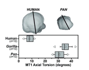 AD_4nXcutsdbZIpYG2WRsLsullKZOo_969AIkix-E1I4WuG0rwgLqHzY2y4SqPRAKoYQepQwJtEKM34q-__oLP_A-_R8r6azInXnSlfaoLyKYEZzSmHPrg02HGimJEXVpPNc4IjwDpo0bA?key=AhLvapB3KLbFMHGKEOaM91Xy