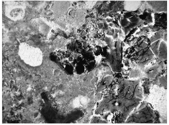 AD_4nXeQ9bPs7jkZHfSiG9uP3KDU2l6uplLdF7Iwzx2zHrx82FBpmKPirDmKI1svbUnSf6vYY7akUdNA3mN7WobdYIEZ-12o_omuCXRGmopKBwB0EOTE5NJNgGuBPIHUlS5irCeNeX2w?key=T44OTWVxQ7aMQzI5OJpybLov