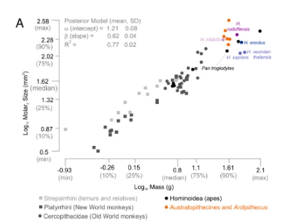 AD_4nXeqB7s6tPVjkjZEv7KGzvlruV59gqRC2PmKu8_N5kvcrvKX-F_c8bZ5cKl-sYByZ1UOVbeDlb0q5fK-7lEE-iSDetl1n2UkAhom1XZ2oDJ18kIXpyZOyVeLuvADK0YD-gDAqNx1GA?key=T44OTWVxQ7aMQzI5OJpybLov