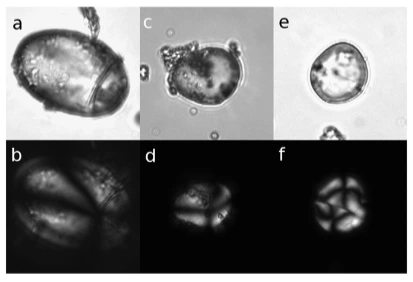 AD_4nXdoFtfR0pX67YB4oFJPqKi44zZZ--OG04jxOwOTbV98_hoECcr1KwniYsnHWtyDhoUSLJXSdYhK4PYSlayjB2tqZ_Nm_bOYVGgQBi1xZMIqkdfXgdvXDBeTAkE1w3Gtec3Gc1rCWA?key=T44OTWVxQ7aMQzI5OJpybLov