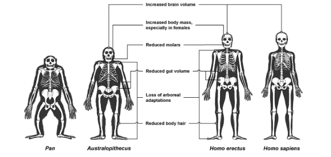 AD_4nXea_voUfa1Y_egR1XWJ9bKjggaAOLPV_y0pplolzUVp4X3eTzAAvWDXXjl0ILYv_Dl3Cgg8azdS4RDvo36gg9mXhOzjWCBz3TKDGH-sVgmN54HcJBVhduAHHz_f0EIEqJJUunwlbw?key=T44OTWVxQ7aMQzI5OJpybLov
