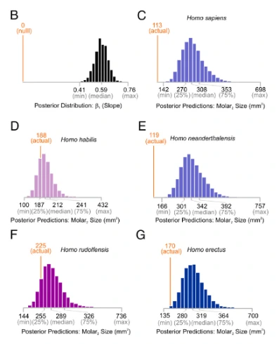 AD_4nXcYRBK8FUmBUo1cAXajuYNSnu8WXzuY9DUsMB0EiM8bQgydiMzy6W5SxqlvXl74byxxyDkzncnH2xtI3wTNJ0reVeRCYpFrbtBdVog6Yy5Mcxr9MtBcdpa_WgCS2Jlb9EPQX0udfw?key=T44OTWVxQ7aMQzI5OJpybLov