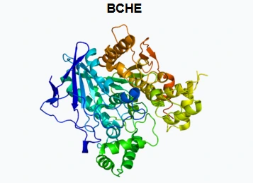 AD_4nXfJf8eq2MUAFi-D8x6qCrh8TUB4ovqlQPL2Yk7H0r65FyBG54vACeN2LnXM81dpTPVVmc7GhIzgGmQjnoS_iUSCa4poCgQL_ecct7i5o0iHQd-cU0kBUtocoDHv88dNZhLff57xKw?key=SCkildsxBrJOMlrrTsx3_Yeh