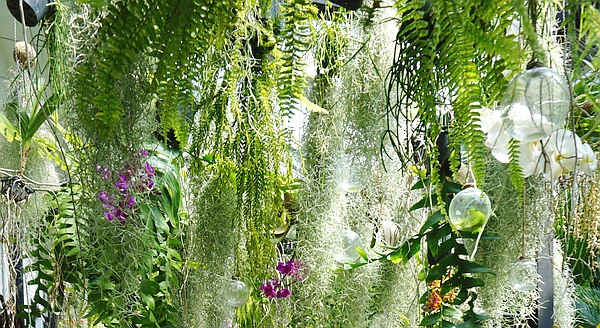 SE-82976223-08f7-4222-9830-0856622165ec.jpg?type=w773