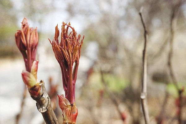 SE-58a88be8-53b1-4ee6-ae2b-50f5fc805d7d.jpg?type=w773