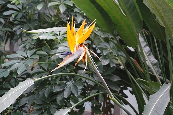 SE-1654de61-0ff6-4687-8098-a61d9ab6a915.jpg?type=w773