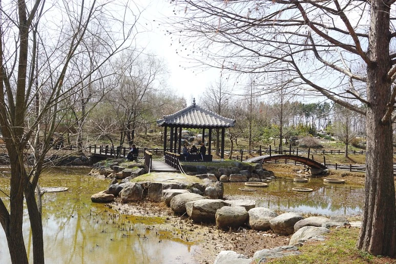 SE-c98635bd-0a45-4488-9e9b-bcdc5b74816a.jpg?type=w773