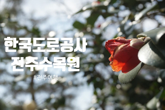 SE-3e46303a-c776-4ed2-b507-50054b7b2c65.jpg?type=w773