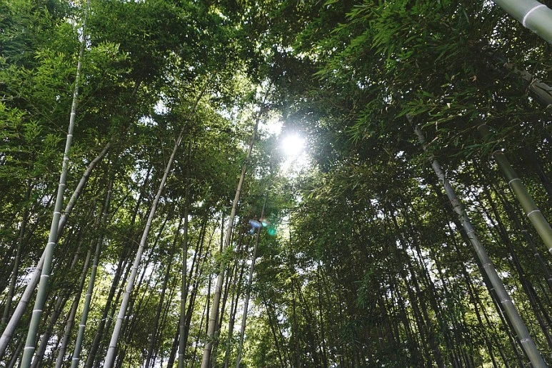 SE-5493e635-1c10-44df-95fd-44d5ac643759.jpg?type=w773