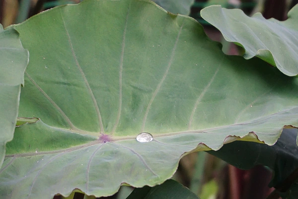 SE-949283c0-2ff8-43de-9a6e-52b9faa3f9a7.jpg?type=w773