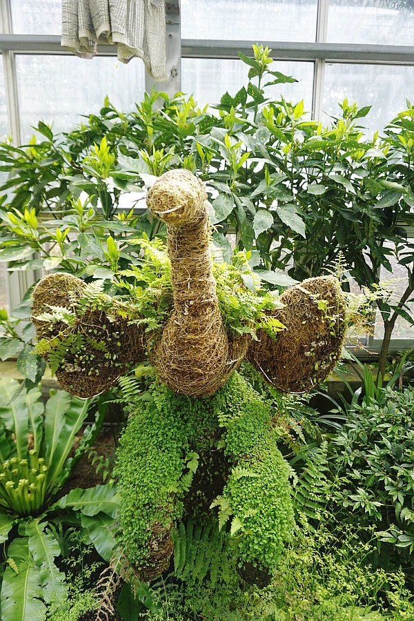 SE-ec845c9d-3f44-46c1-ae78-f6270681f5da.jpg?type=w773