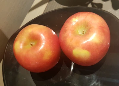 image_1268182561543671457813.jpg?type=w1