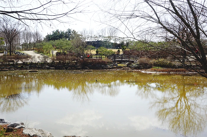 SE-7336a185-6941-4328-bcba-3f7d3887959b.jpg?type=w773